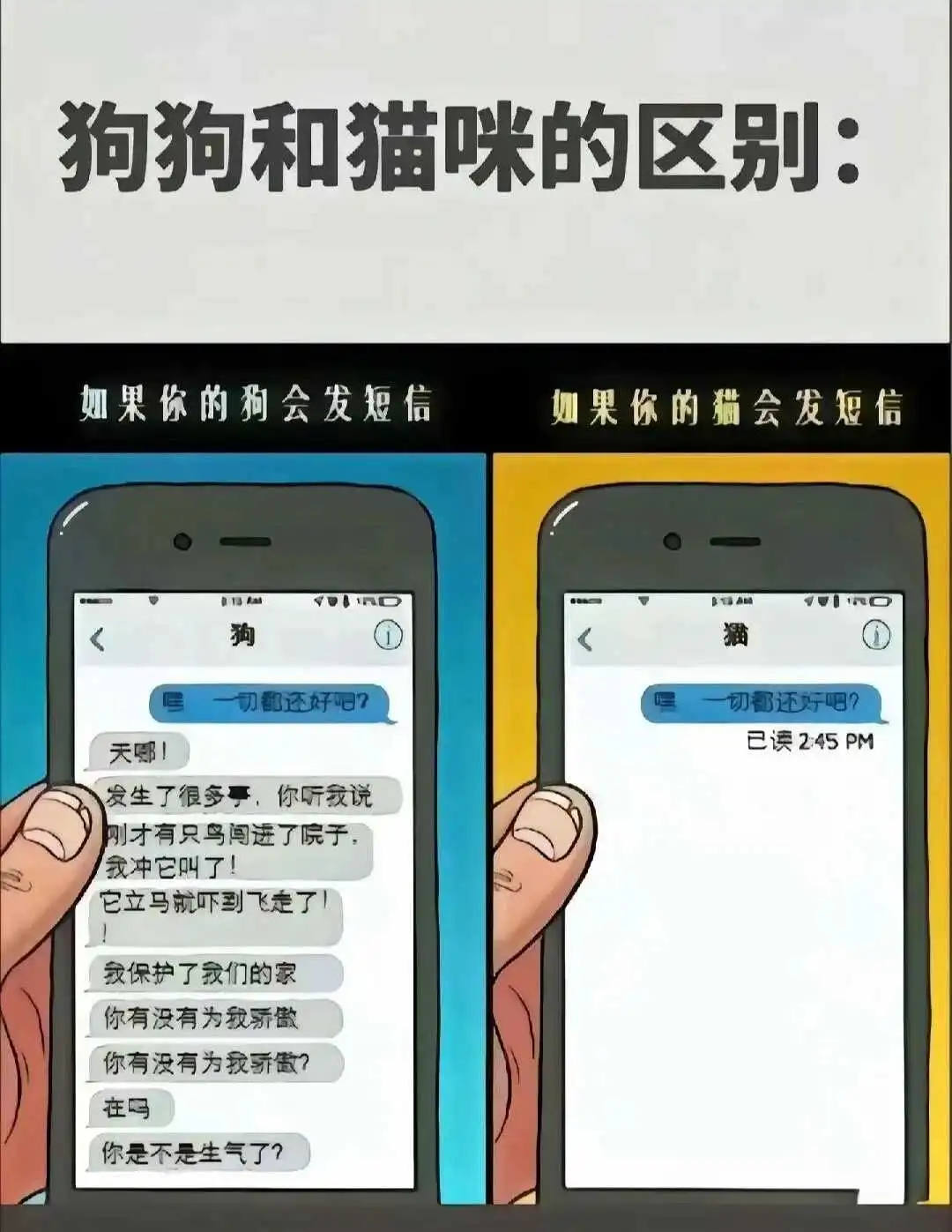 西檬之家-字母圈K8是什么？BDSM新人指南