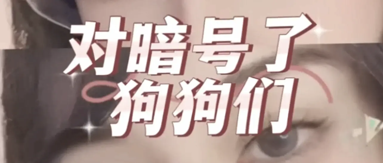西檬之家-字母圈Sp实践指南：新人如何安全开启BDSM之旅