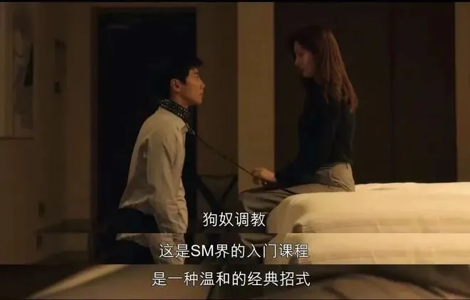 西檬之家-什么是字母圈的 Dom？支配者的角色与责任