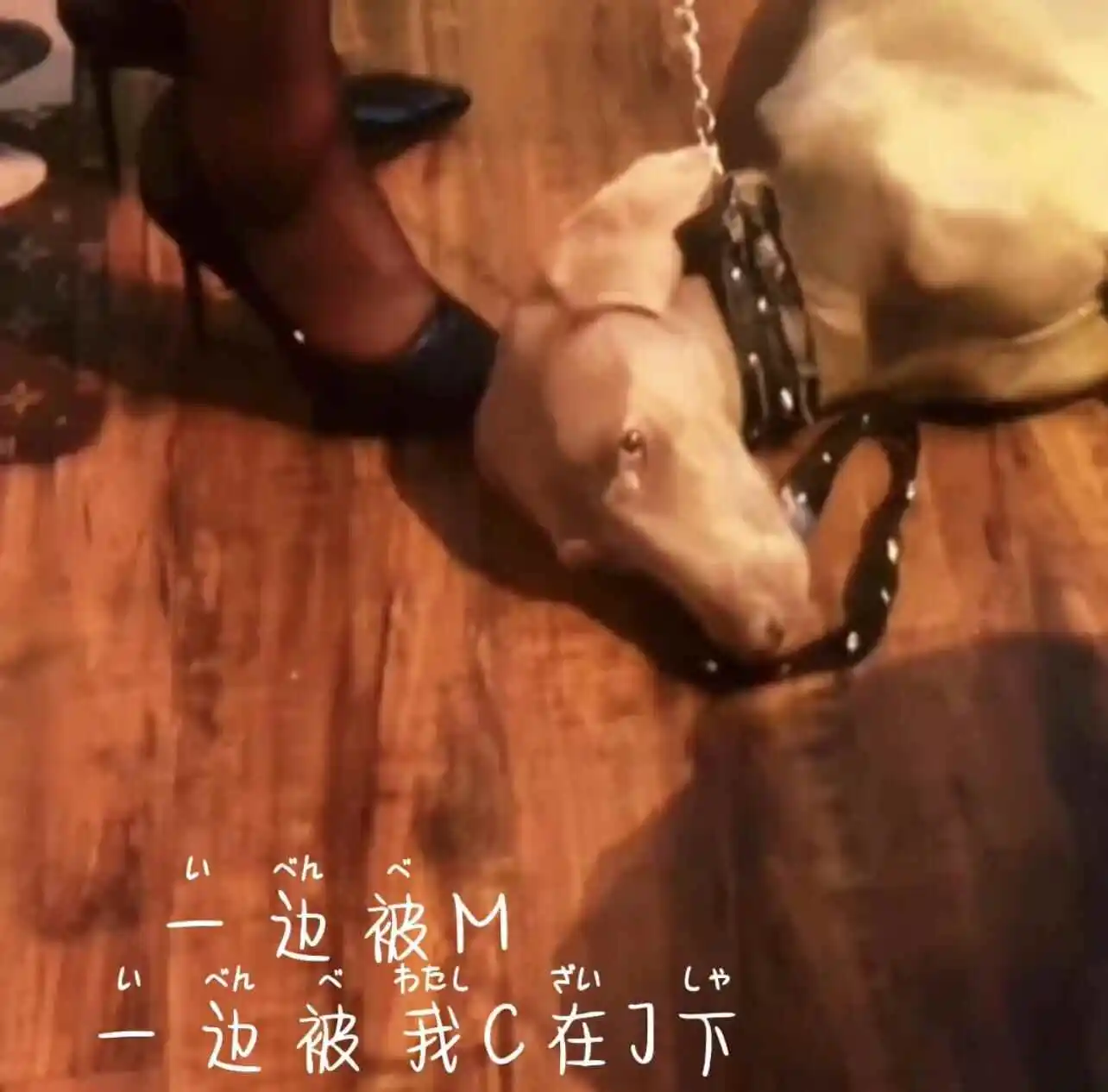 西檬之家-字母圈的Aftercare是什么意义？新人必知指南