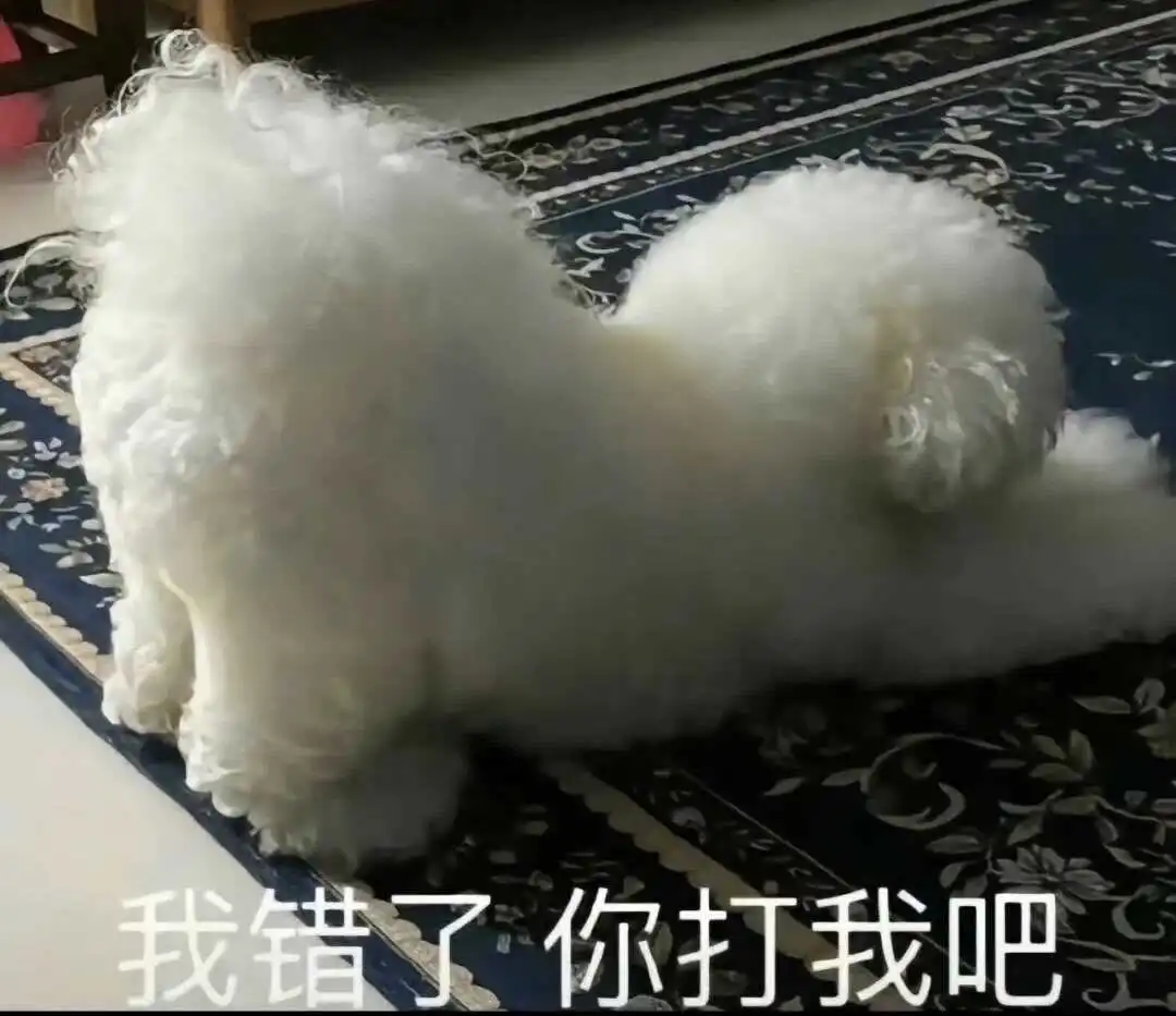 西檬之家-圣水是什么？你的字母圈属性允许尝试吗？